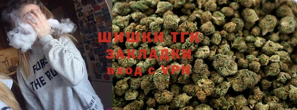 винт Ельня