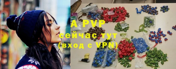 винт Ельня