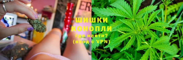 apvp Заволжье