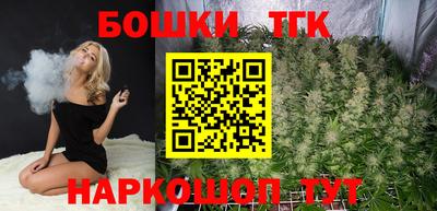 мдпв Обь