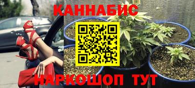 мдпв Обь