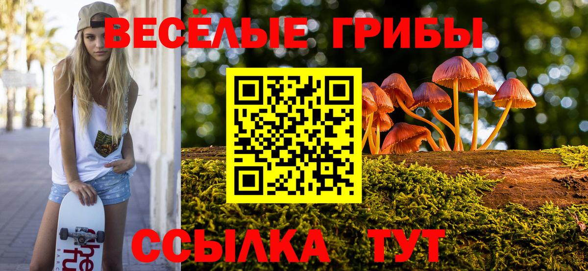 Саяногорск  Псилоцибиновые грибы Psilocybine cubensis  Вход с VPN  Галлюциногенные грибы Psilocybe 