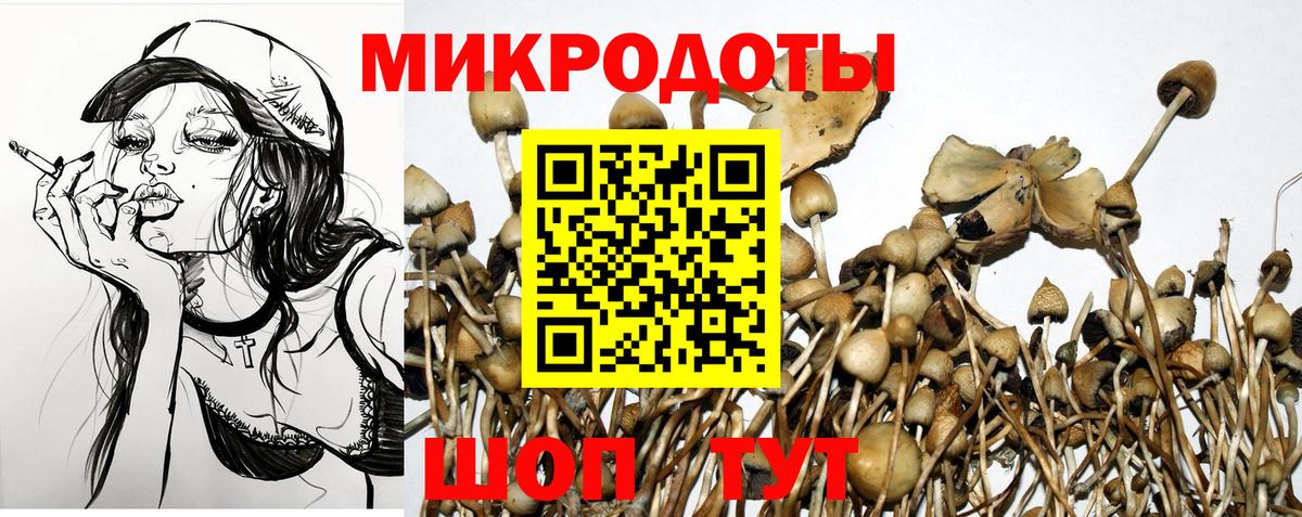Псилоцибиновые грибы прущие грибы Саяногорск
